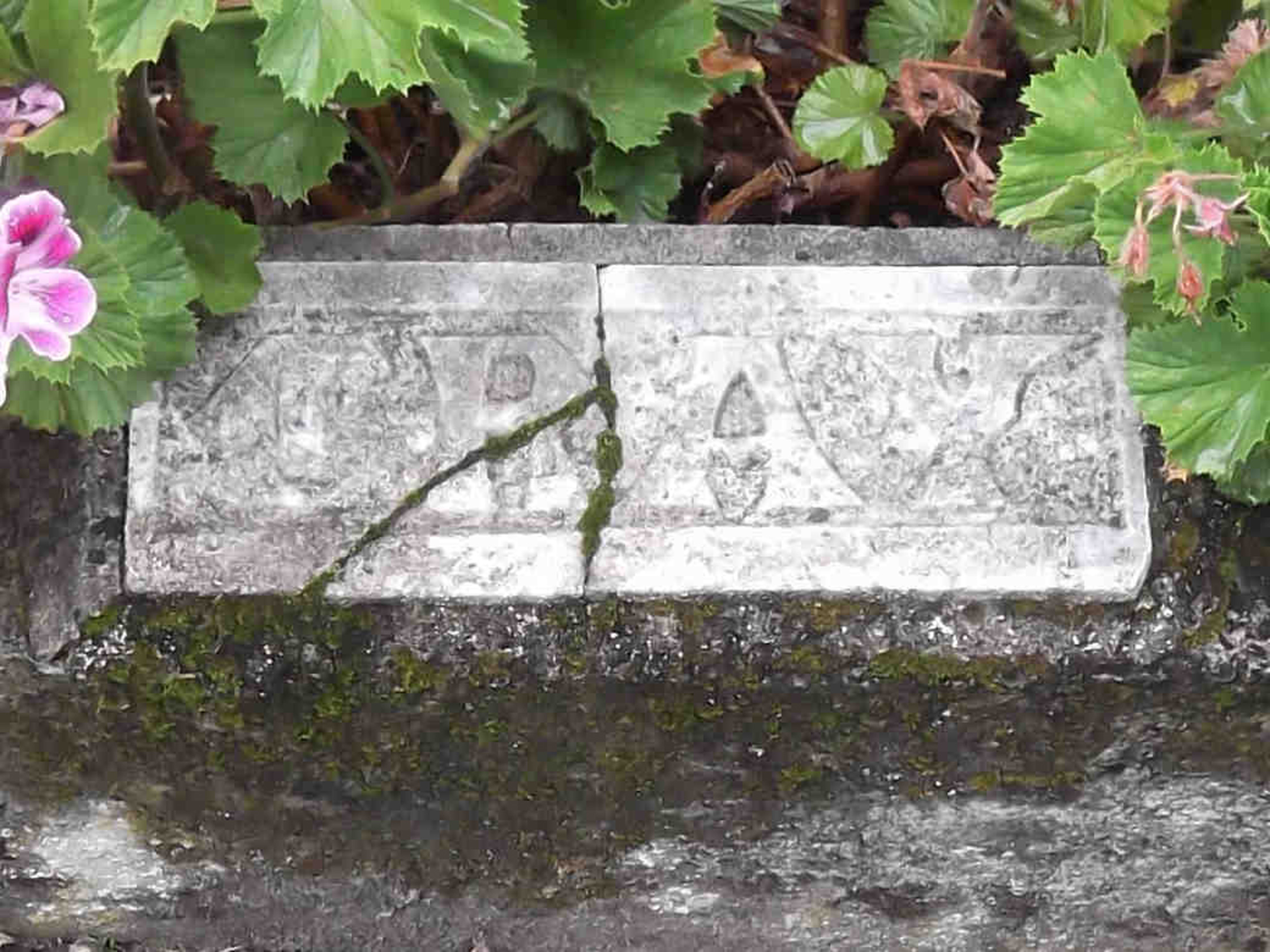 Photo of headstones/Lily May McLennan d 1938 hdstn Dunedin Andersons Bay